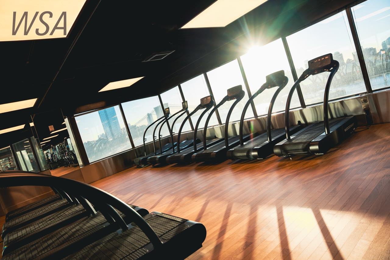 Curved treadmills along the East River windows